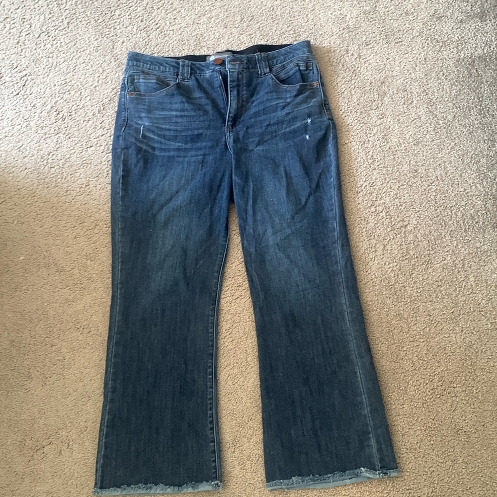 Democracy Ankle Flare Jeans